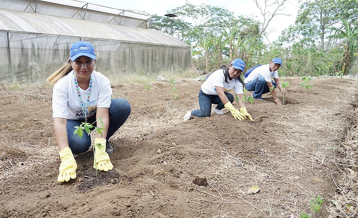 Voluntariado de Walmart en apoyo a Pajarito Azul