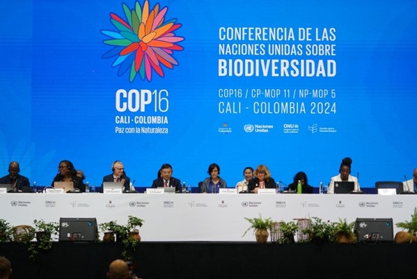 En COP16, el IICA destaca bioeconomía y soluciones basadas en la naturaleza como pilares para seguridad alimentaria y conservación de la biodiversidad