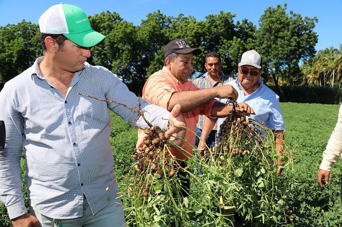 Intercambian conocimientos agrícolas