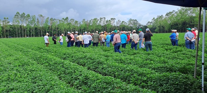 Banpro con productores de maní