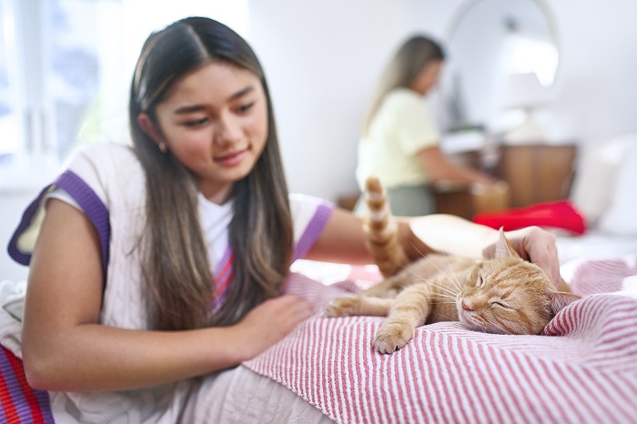 La importancia de una alimentación adecuada: clave para el bienestar de los gatos esterilizados